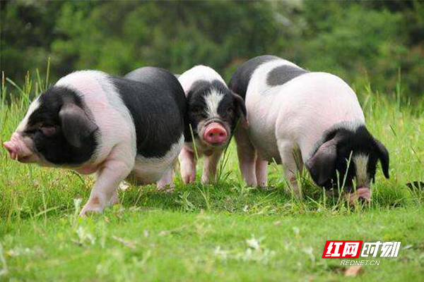 5435-1.jpg 5435-1.jpg