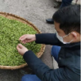 五粮液涉足茶行业 两亿资金助茶农抗击疫情