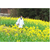 父子村医：冲在乡村抗疫一线