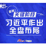 重磅！关键阶段，习近平作出全盘布局