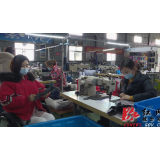 城步杨淑亭：闲不住的“花仙子 ” 用实干迎接春天到来