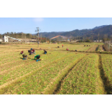 唐洞街道：春回大地忙复工