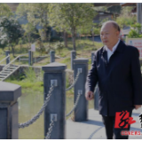 城步：巡河抗疫两手抓 进一步强化“河长制”工作落实