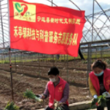 宁远：爱心助农“送”劳力 志愿服务暖人心