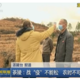 洣江街道：坚持疫情防控和春耕生产两手抓