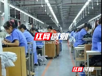 郴州市场监管局信息中心开辟“绿色通道”助力企业复工复产