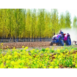 春耕时节，让“无接触”把地种得更好
