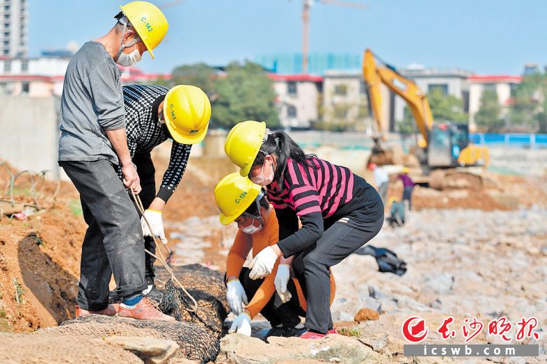 圭塘河井塘段，戴着口罩的工人正在抓紧施工。长沙晚报全媒体记者 王志伟 摄