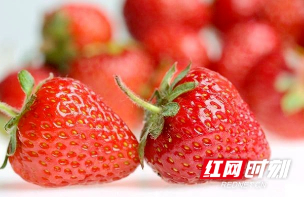 u=1207417910,3118545755&fm=173&app=49&f=JPEG.jpg