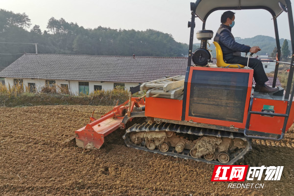 新邵县小塘镇:田间地头耕种忙 防疫春耕两手抓