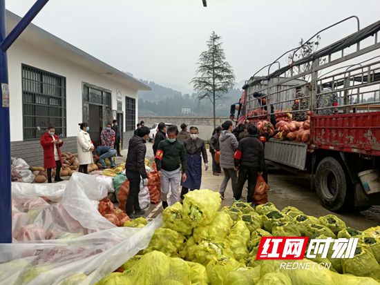志愿者装车水印.jpg