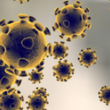 四川新增新冠肺炎确诊病例2例 累计确诊531例