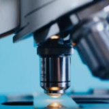 关于新冠肺炎，中国-世界卫生组织联合专家考察组的N个最新论断