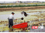 大通湖区70岁贫困户 自力更生谋脱贫