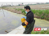 南县明山头镇：全力助推企业复工复产