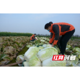 武陵区穿紫河街道： 防疫路上有暖风 爱心蔬菜送上门