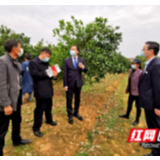 永州道县：农村商业银行送贷上门 解决果农燃眉之急