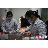 湖南考古人的返岗复工之路