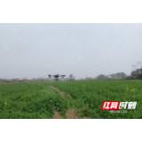 桃源：“疫”线春耕，播种“硒”望