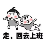 辰溪农技专干赴基层开展“春耕备耕、复工复产”科技服务活动