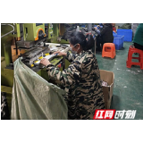 沅陵县七甲坪镇：春耕复产正当时