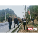 隆回县六都寨至浆溪垅段公路绿化工程全面开工
