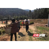 常德扶贫工作队：春耕防疫两手抓，田间地头农事忙