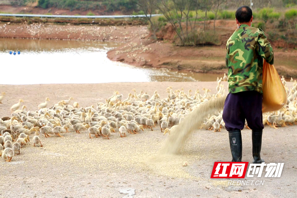 畜牧水产事务中心2.JPG