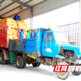 临武：保障畜禽“不断粮”