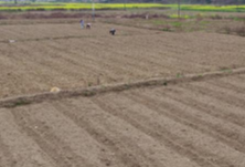 衡山县店门镇：疫情防控不松劲 春耕生产不误时