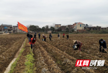 耒阳：扶贫队长当“六员” 抗疫复产两促进