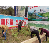 冷水滩区马坪农业开发区：整治违规菜地 助力“六城同创"