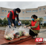 湘西州税务局：抗疫后防线上的巾帼“红”