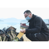 资兴：东江湖畔的“不见面”果苗配送点