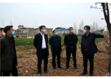 孔令强督导生态稻虾第一村产业示范园建设