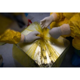 他是“病毒快递员”！