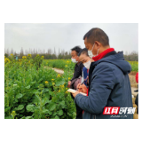 屈原管理区：春耕备耕忙起来 田间地头抢农时
