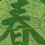 你看，春天的色彩
