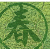 你看，春天的色彩
