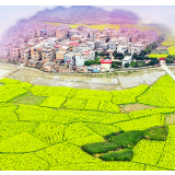 【创意海报】最是一年春好时，三湘大地耕种忙