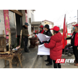 澧县王家厂镇：绵绵细雨润万物，志愿小队入众户