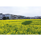 资兴市荣膺2019年度乡村振兴战略先进县市区