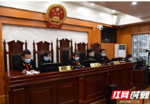 岳阳中院：做好庭前功课  86起案件“云间”合并审理