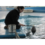 六个故事读懂老外留守中国共抗疫情：领导有方、措施得力、令人安心