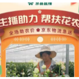 这个小程序被商务部点名，微信为电商企业提供原生直播能力