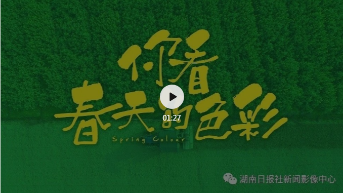 ????_20200228115150.png