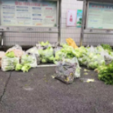 双马街道新华村党总支冲锋担当 书写基层“红色逆行”