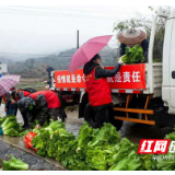 暖心！志愿者为益阳市区居民小区免费配送平价菜
