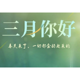 三月，你好