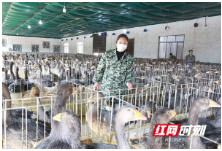 湘女战疫丨长沙巾帼助力复工复产，她们认真的样子真美！